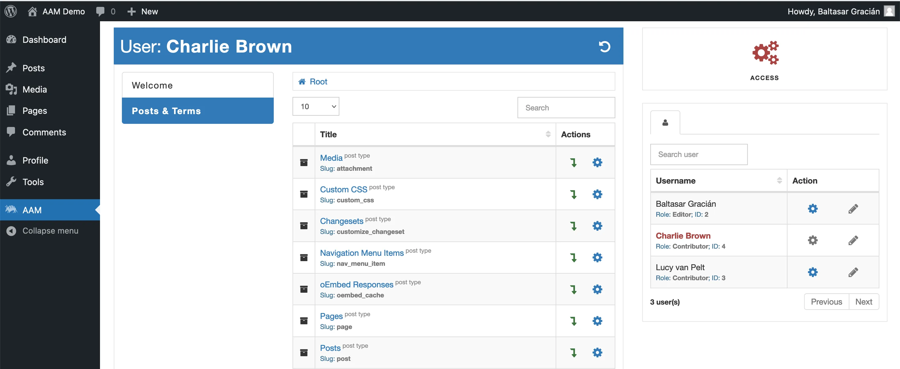 AAM Allow To Manage Content