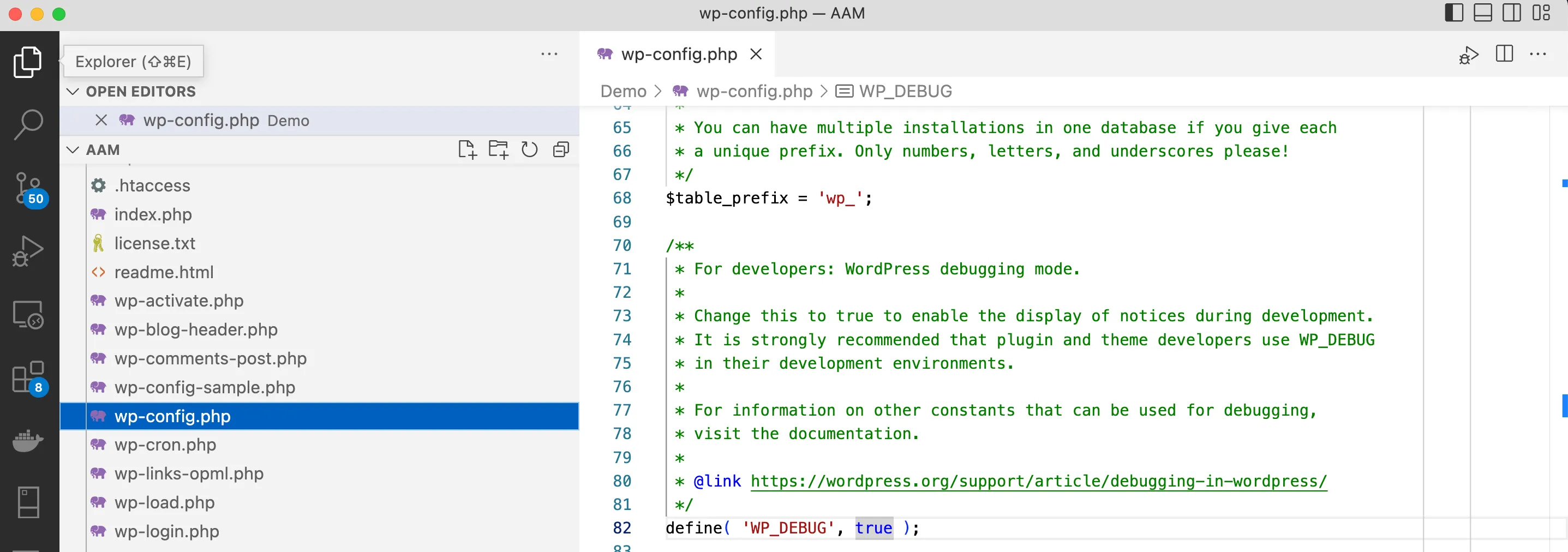 WP Debug Mode