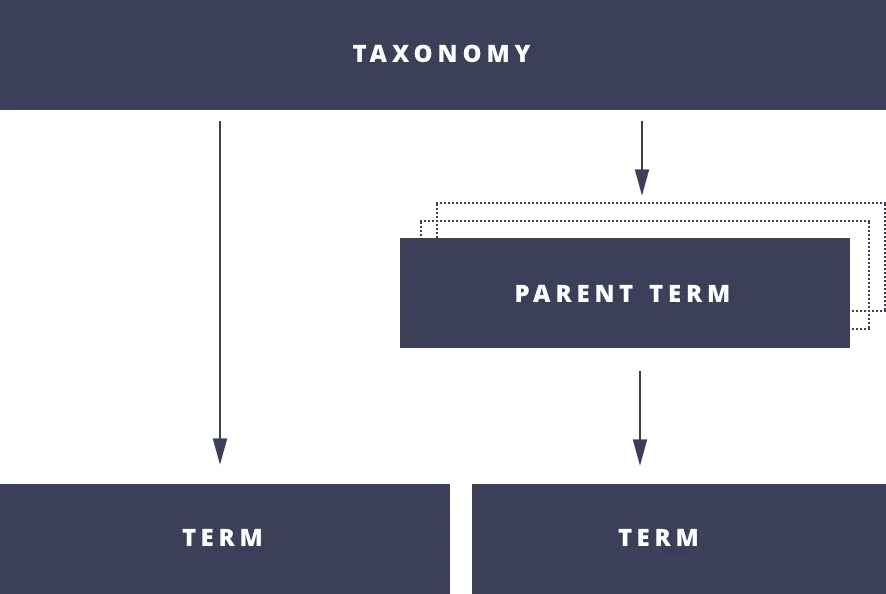 Taxonomy Relationship Diagram