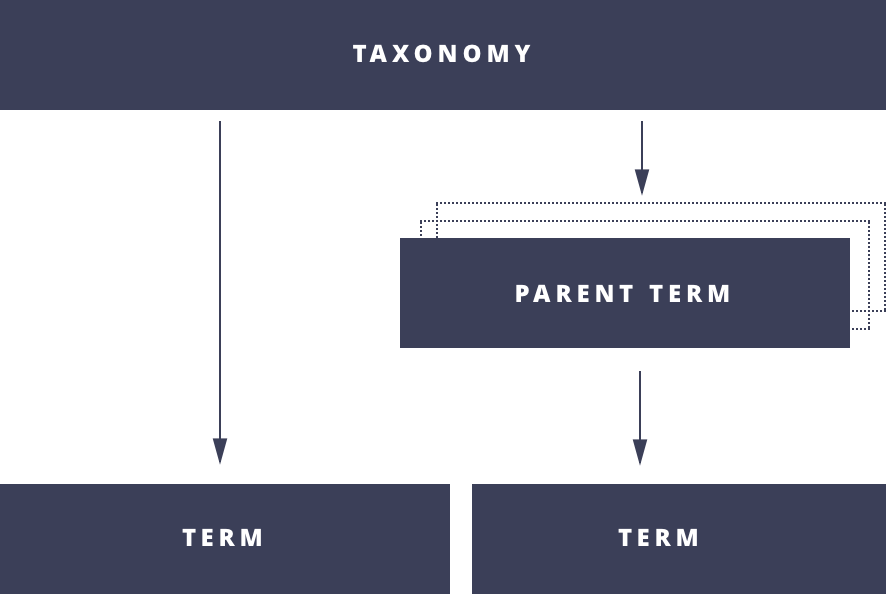 Taxonomy Relationship Diagram